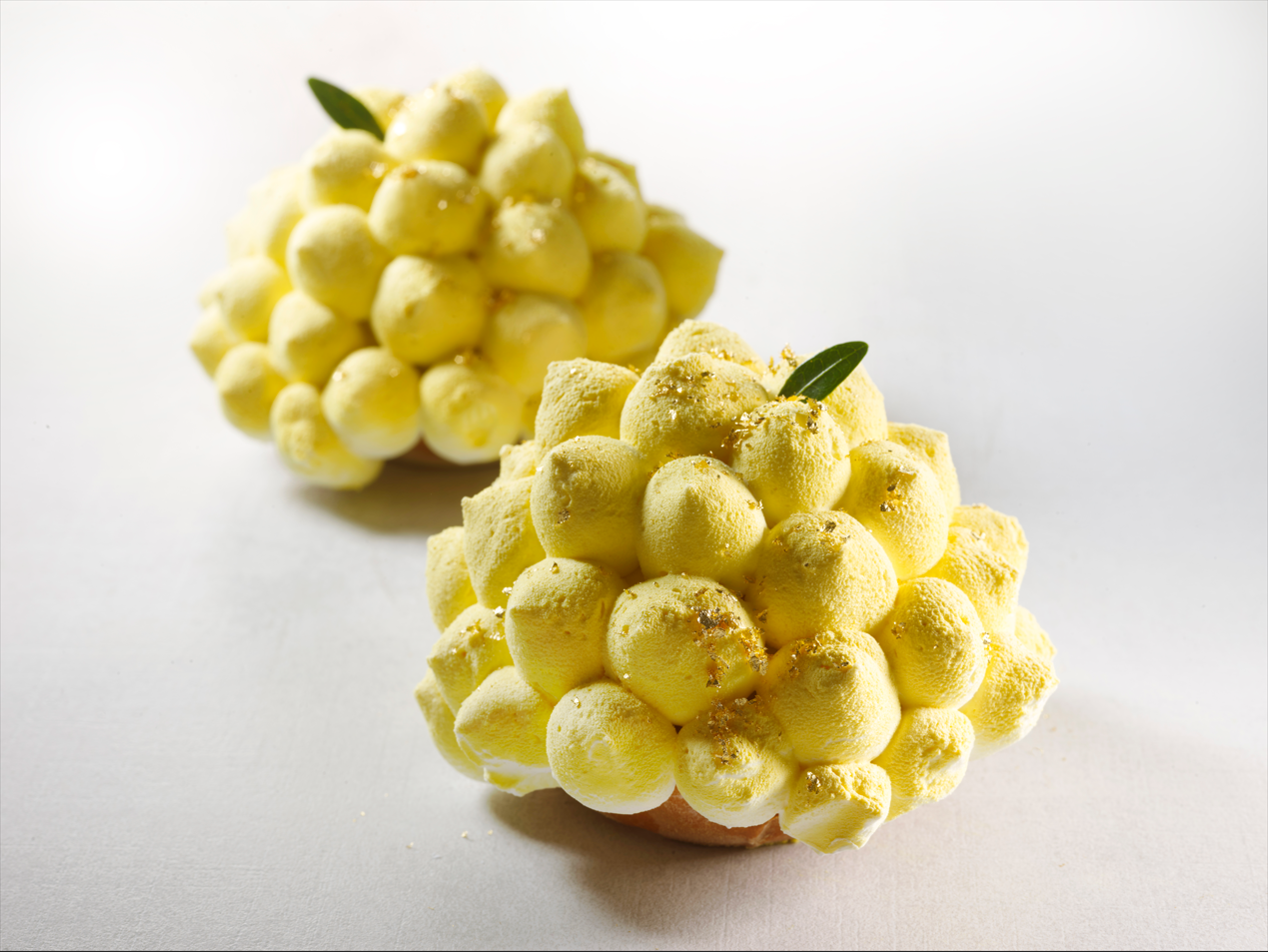 Festa della donna, la mimosa rivisitata